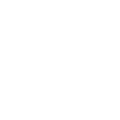 Apple store icon.