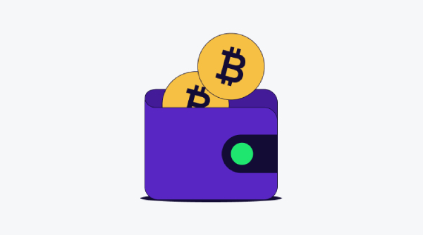 Bitcoin Wallet Illustration